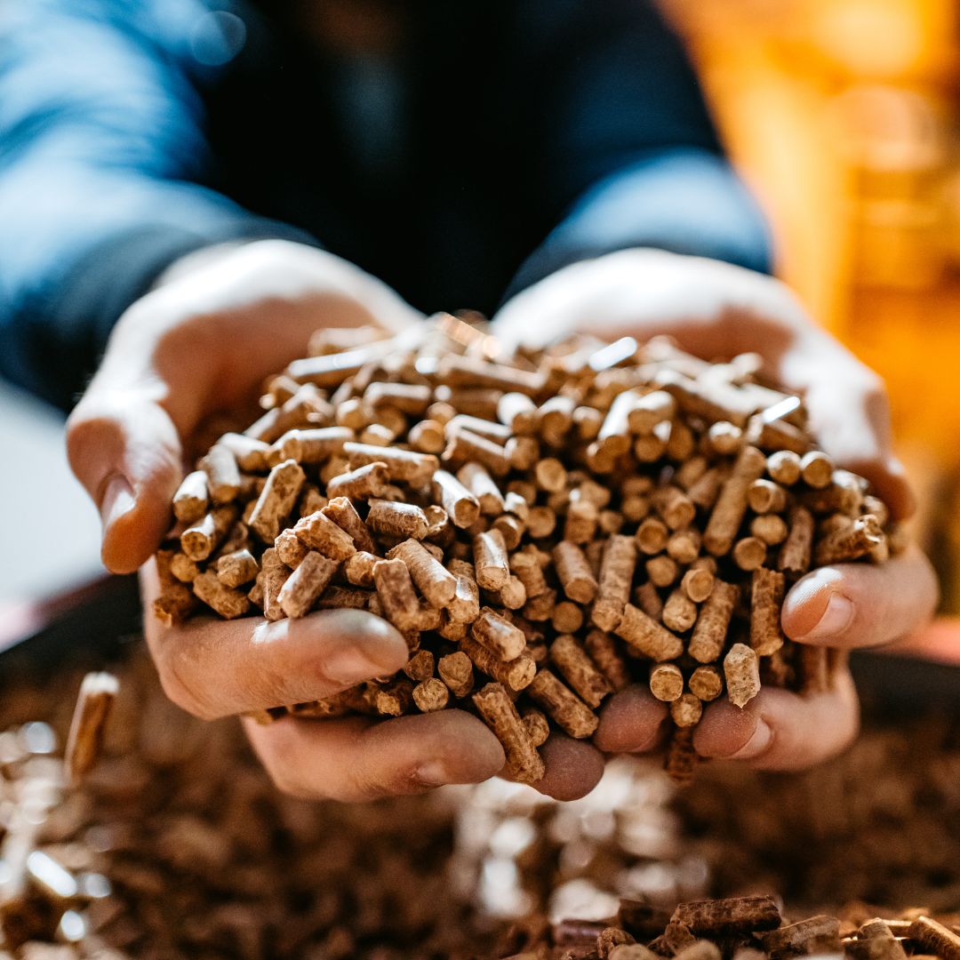 A Comprehensive Guide to Selecting the Right Pellet Press